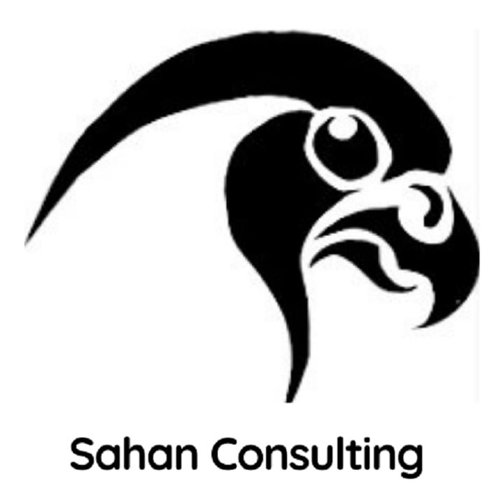 sahanconsulting.com